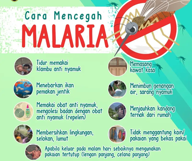 Malaria Penyebab Komplikasi