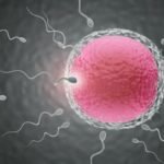 Oligozoospermia sperma rendah