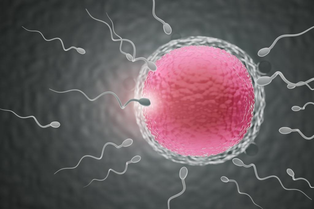 Oligozoospermia sperma rendah Oligozoospermia sperma rendah