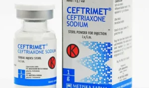 pengobatan gonore efektif pengobatan gonore efektif
