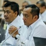 Revisi