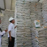 stok beras nasional
