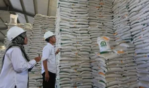 stok beras nasional