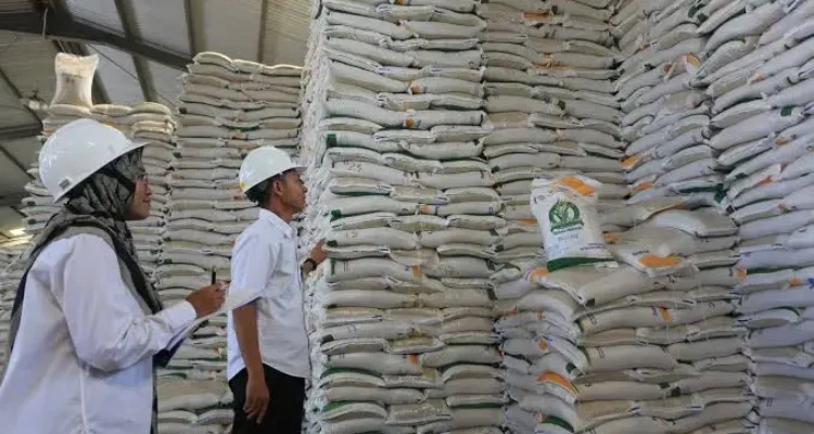 stok beras nasional